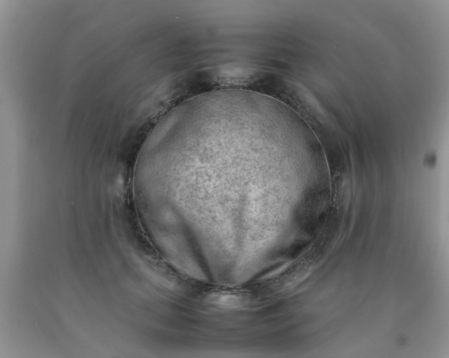 X0000090430655200707272133