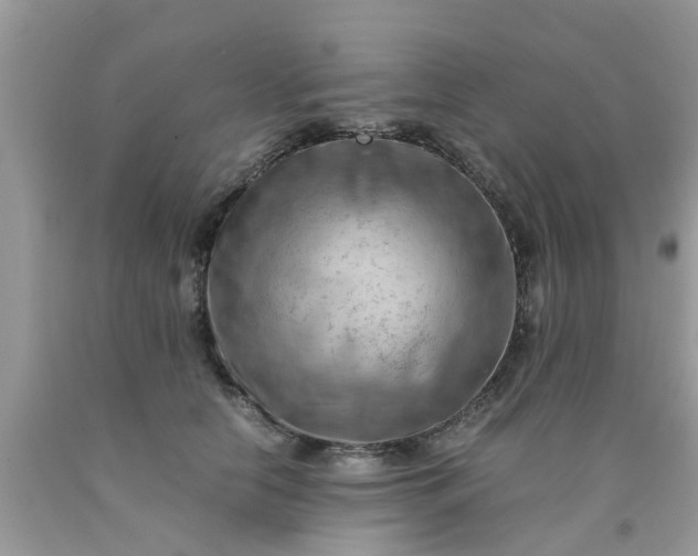 X0000090430658200707272133