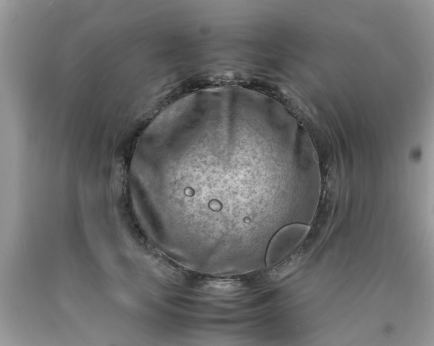 X0000090430659200707272133