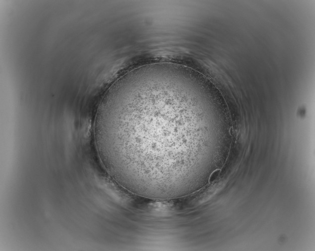 X0000090430660200707272133