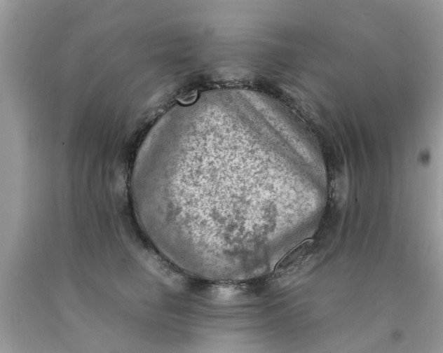 X0000090430662200707272133