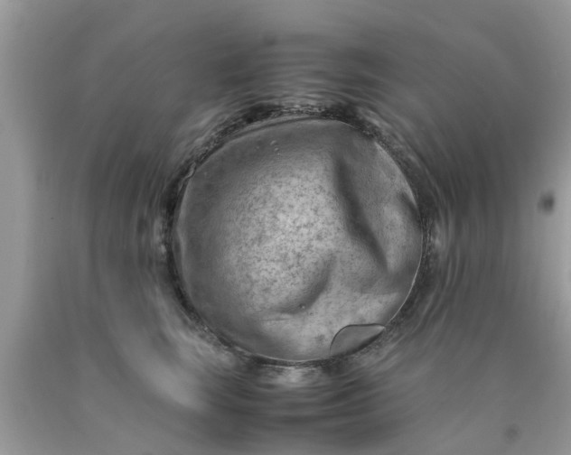 X0000090430663200707272133