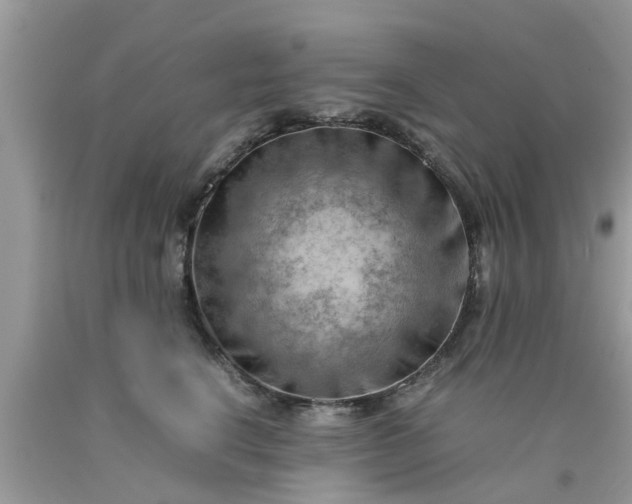 X0000090430664200707272133