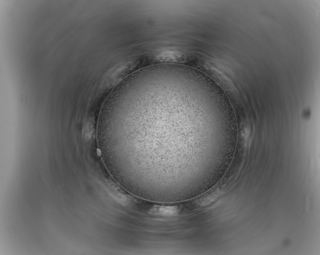 X0000090430665200707272133