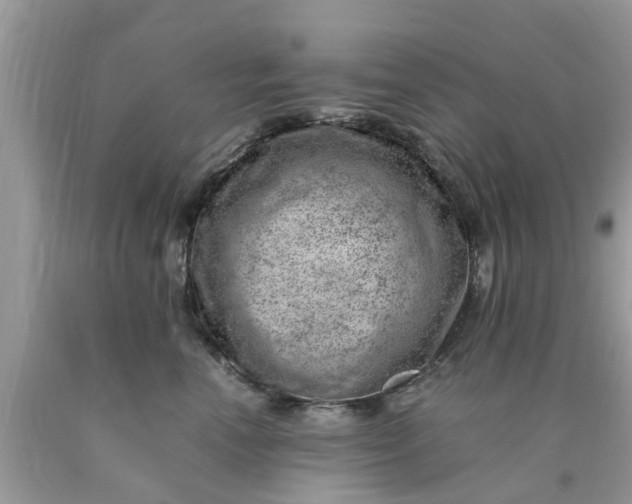 X0000090430666200707272133