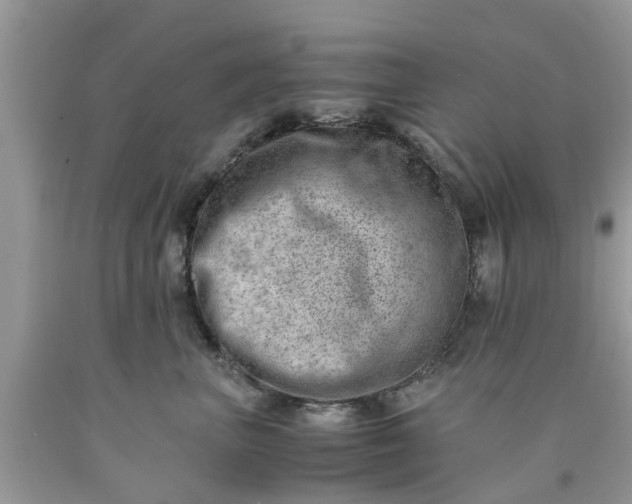 X0000090430667200707272133