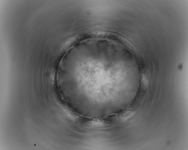 X0000090430668200707272133