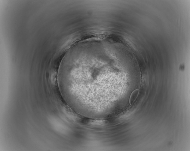 X0000090430671200707272133