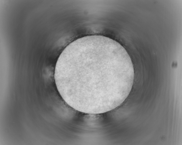 X0000090430672200707272133