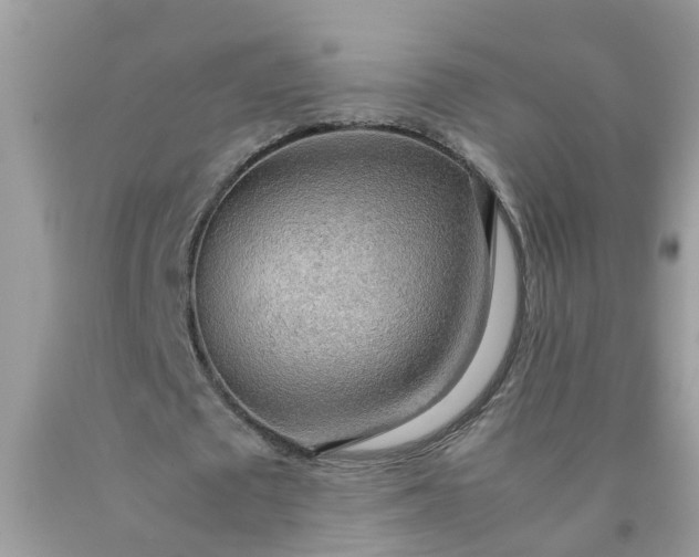 X0000090430673200707272132