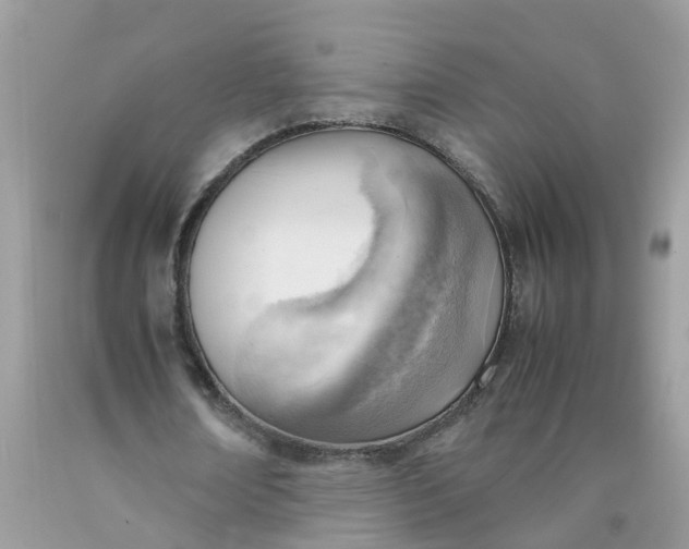 X0000090430674200707272132