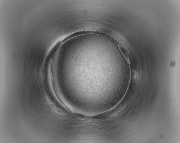 X0000090430676200707272132