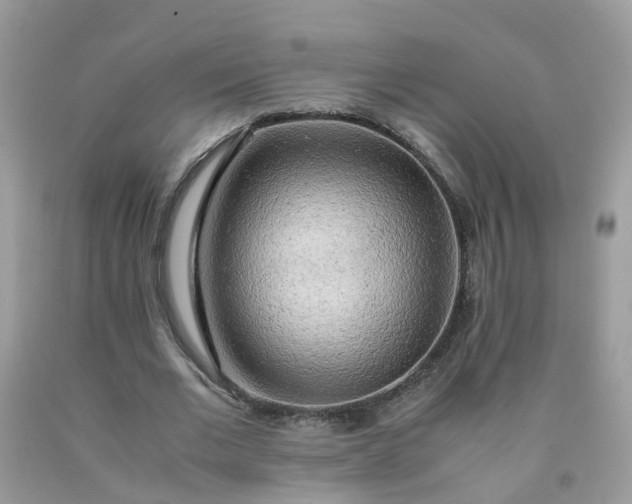 X0000090430677200707272132