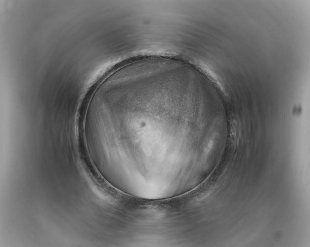 X0000090430678200707272132