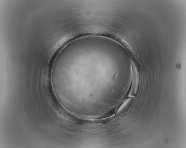 X0000090430679200707272132