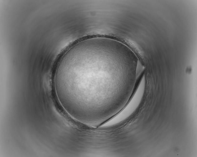 X0000090430680200707272132