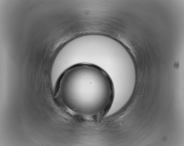 X0000090430681200707272132