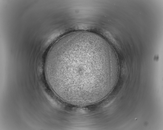 X0000090430683200707272132