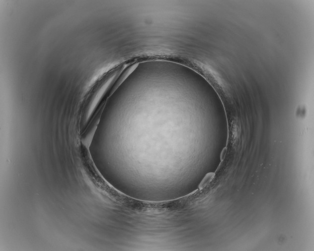 X0000090430684200707272132