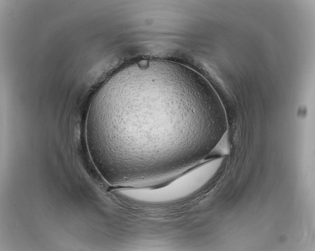 X0000090430685200707272132