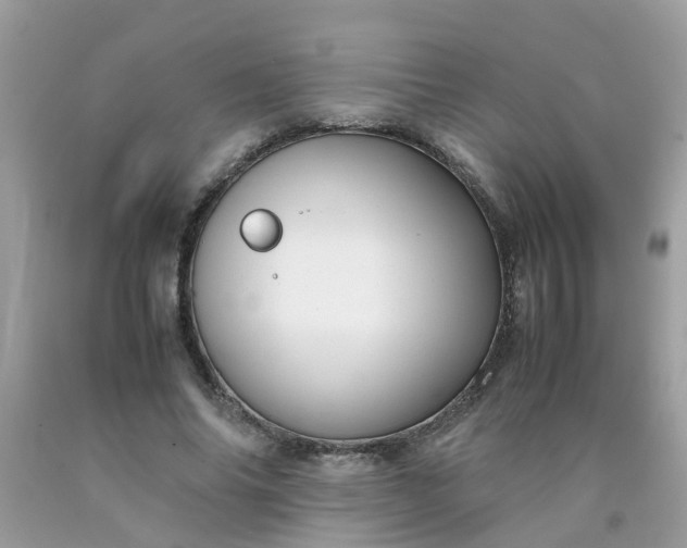 X0000090430686200707272132