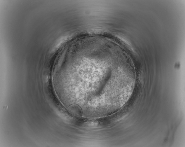 X0000090430687200707272132