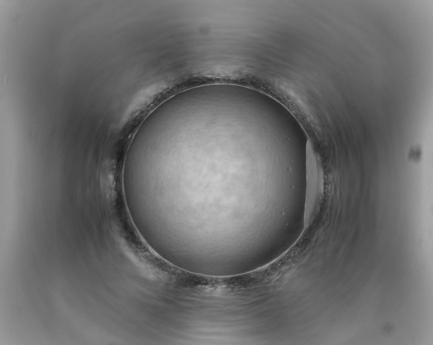 X0000090430688200707272132