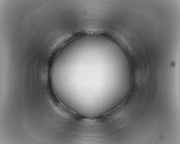 X0000090430690200707272132