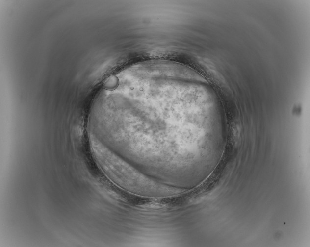 X0000090430691200707272132