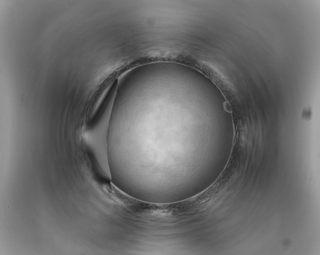 X0000090430692200707272132