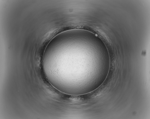 X0000090430693200707272132