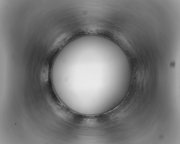 X0000090430694200707272132