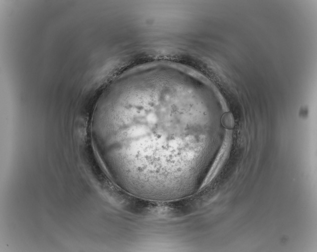 X0000090430695200707272132