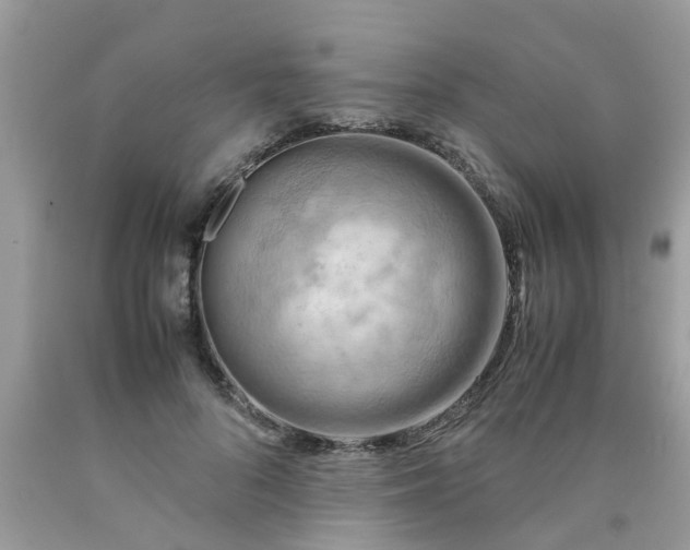 X0000090430696200707272132