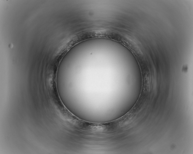 X0000090430698200707272132