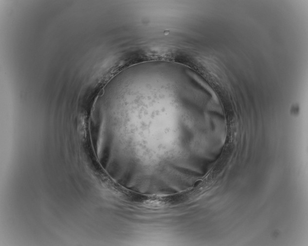 X0000090430699200707272132