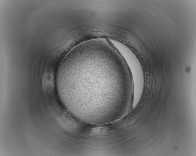 X0000090430700200707272132