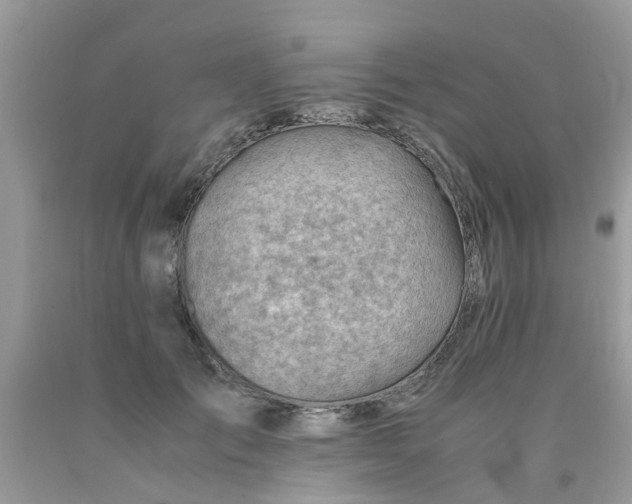 X0000090430701200707272132