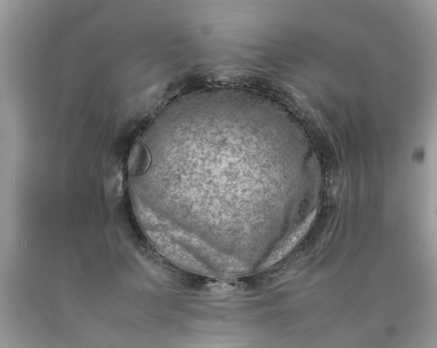 X0000090430703200707272132