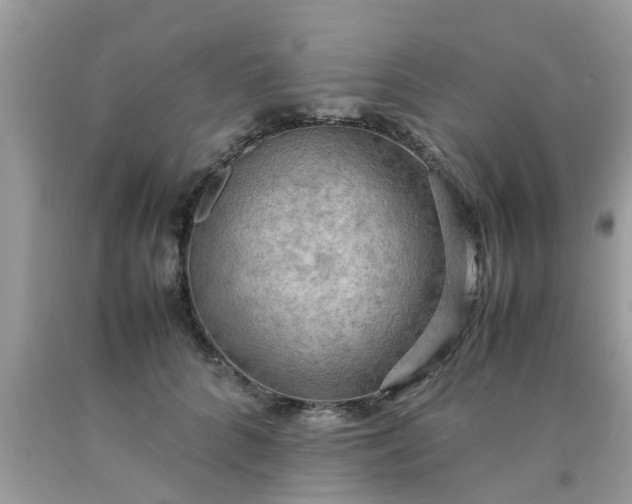 X0000090430704200707272132