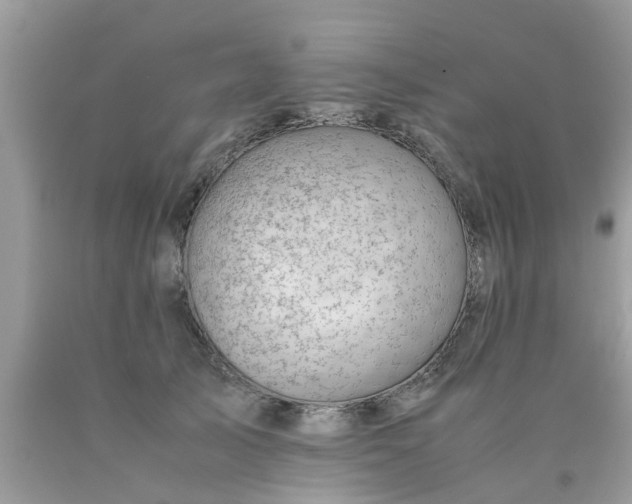 X0000090430705200707272132