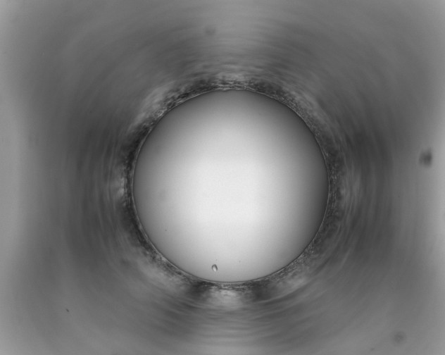 X0000090430706200707272132