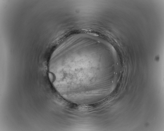 X0000090430707200707272132