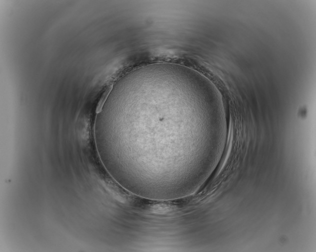 X0000090430708200707272132