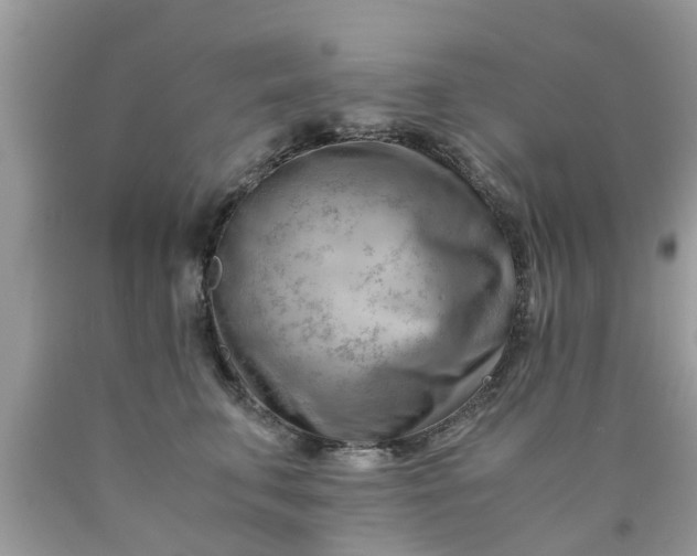 X0000090430711200707272131