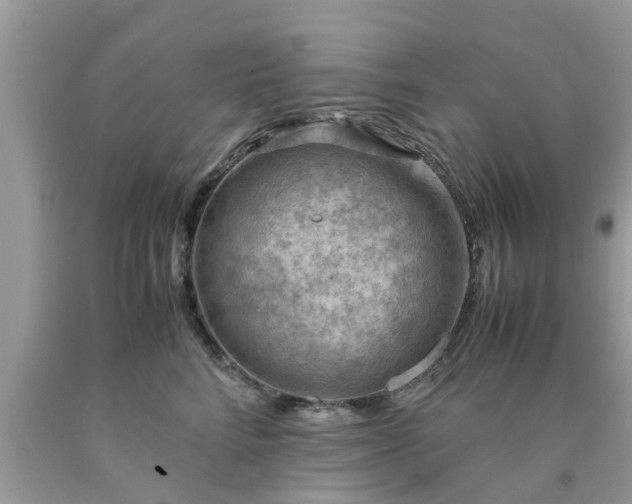 X0000090430712200707272131