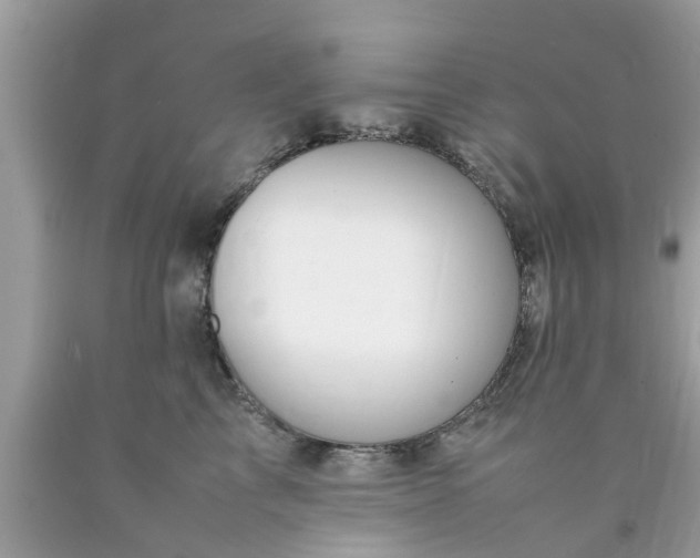 X0000090430713200707272131