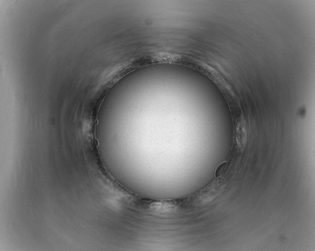 X0000090430714200707272131