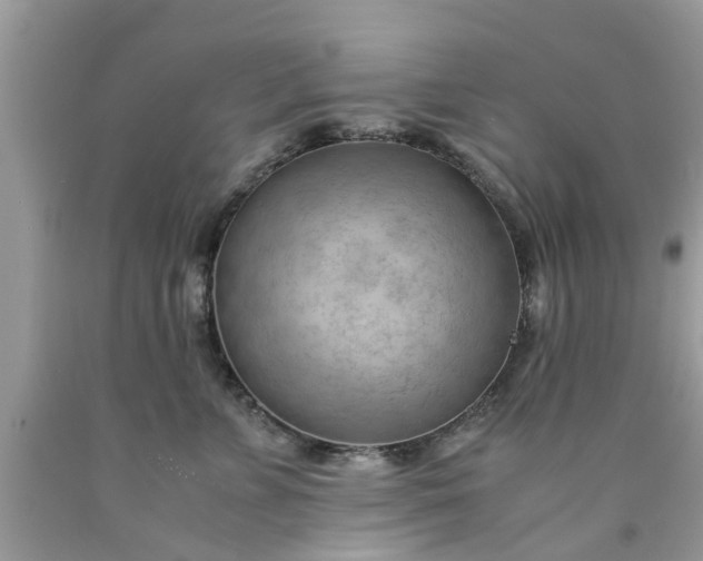 X0000090430715200707272131