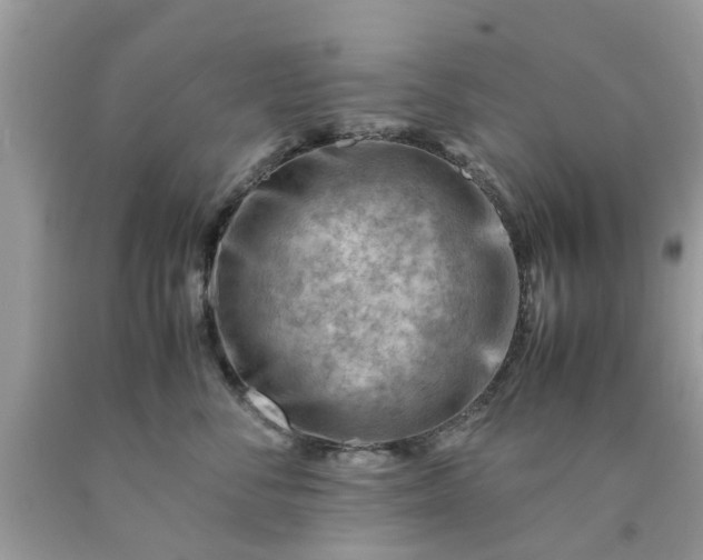 X0000090430716200707272131